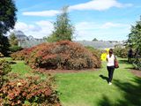 422_Edinburgh_3rd_day -  Royal Botanical Garden
